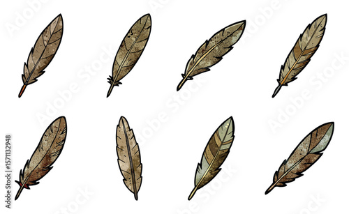 set of feathers, A set of rustic feather with worn texture and natural tones.

