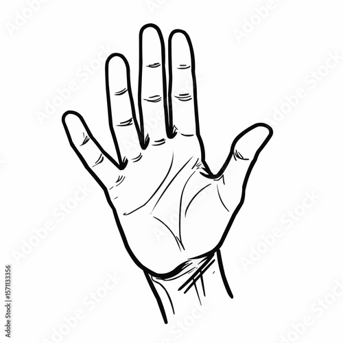 Hand showing five fingers isolated on white background  