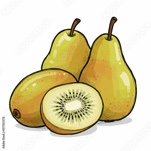 Yellow pears and kiwi fruit illustration on white background  