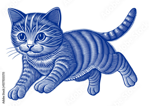 A wonderful collection of very beautiful cat pictures