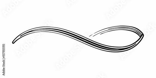 Elegant black and white flourish design featuring a curved line with multiple parallel strokes