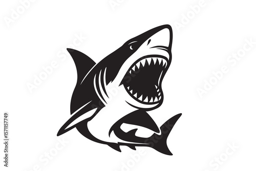 Aggressive great white shark with open mouth and sharp teeth isolated on white background.