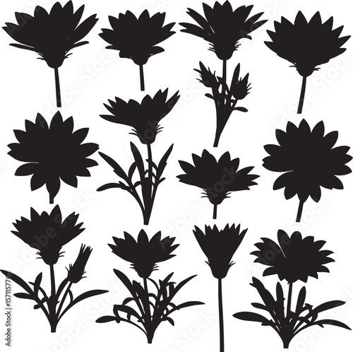 A vibrant collection of gazania flower and plant silhouettes, showcasing their diverse shapes and forms, ideal for striking floral designs, gardening themes, and natural decorative elements