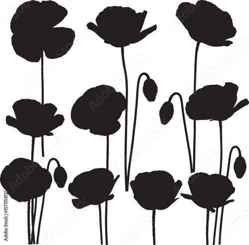 Collection of various poppy flower silhouettes with delicate petals, budding forms, and graceful stems, ideal for remembrance themes, botanical illustrations, and natural decorative elements