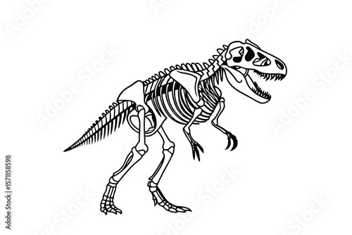 Illustration of a tyrannosaurus rex dinosaur skeleton in a dynamic pose isolated on white background. 