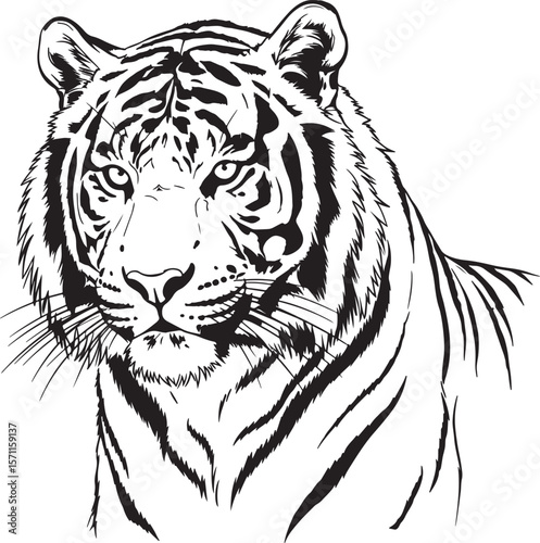 Detailed line art illustration of a tiger's head and upper body, ideal for wildlife, animal, and nature themes. Perfect for conservation, strength, and educational content