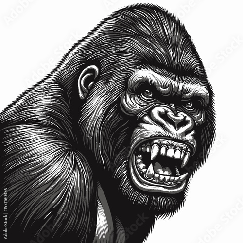 Angry Face of Gorilla Vector Art