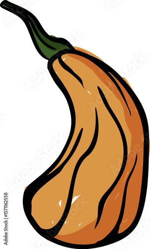 Pumpkin with Ribbed Texture in Hand-drawn Autumn Style Vector Illustration.