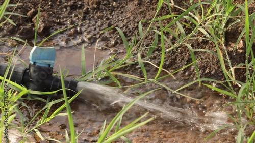 Wallpaper Mural in india Drip Irrigation System in Modern Agriculture Field Watering Soil and Crops in mango tree. here you can show the drip irrigation water are flowing on a tree in fastway Torontodigital.ca