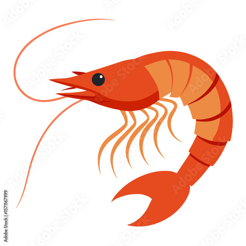 Cartoon cute shrimp, seafood character. Colorful isolated vector illustration shrimp on white background. Suitable for children's books ,sticker, mascot, sticker, mascot, logo. Side view.