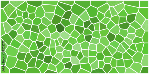 An abstract green mosaic with organic, irregular polygons outlined in white, forming a fresh geometric texture that feels structured yet natural and visually rich.