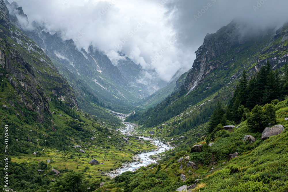Fototapeta premium a valley with a river running through it