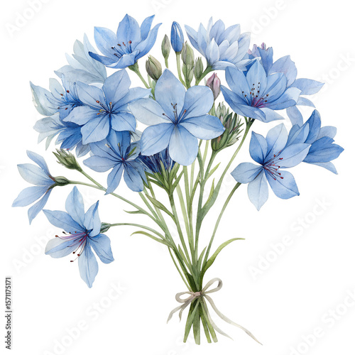 Watercolor blue floral bouquet with ribbon isolated on a transparent background flowers