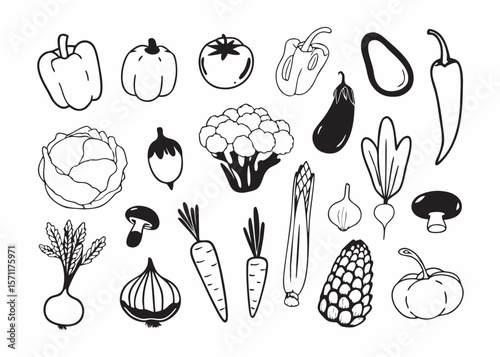 A collection of various vegetables and fruits drawn in a detailed, black and white, vintage style sketch.