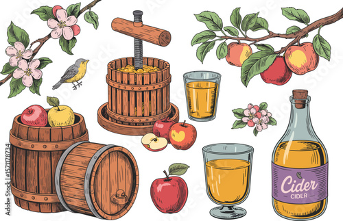 Collection of apples cider press barrels glasses and bottle of cider