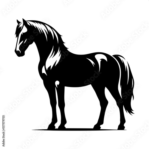 Horse Standing Still