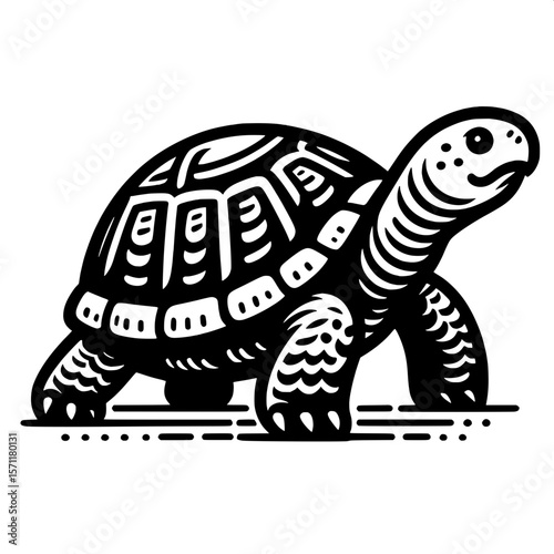 Turtle Walking Slowly