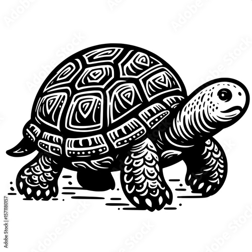 Turtle Walking Slowly