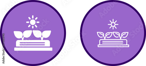 Plants Vector Icon