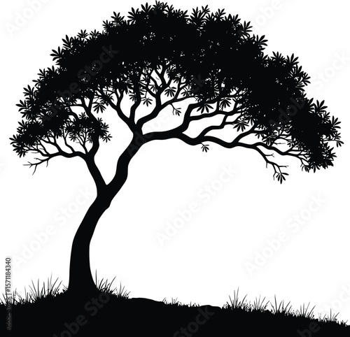 A high-quality black silhouette of a lone tree with gently curved branches and base grass detail.