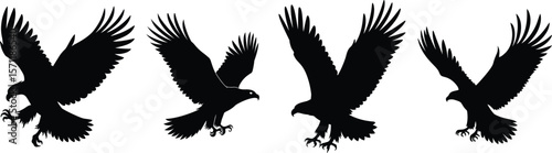 A striking set of four black silhouette illustrations of eagles in various flying and hunting poses