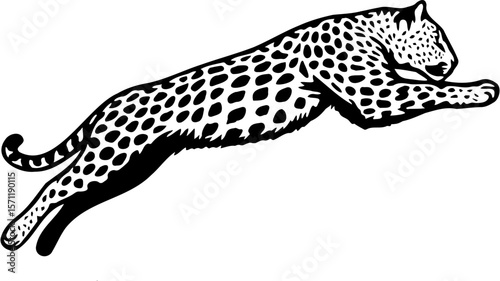 Vector illustration of a jumping leopard, isolated on white