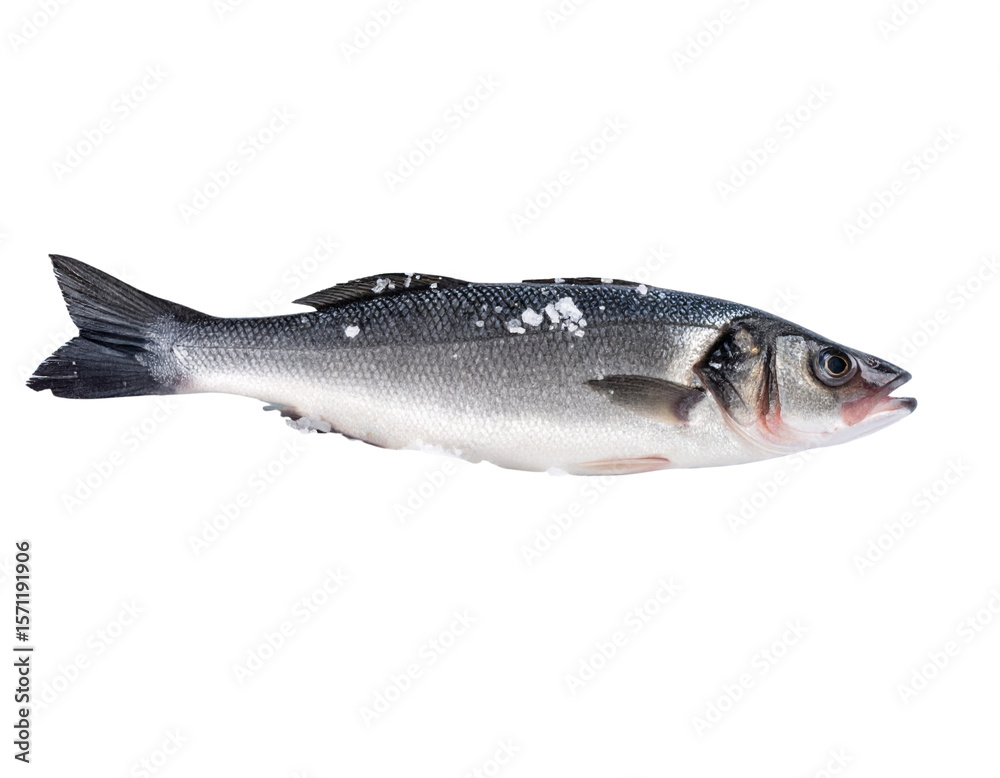 Obraz premium “Raw Seabass Fish on Ice Bed with Sea Salt Crystals, Transparent Background”.