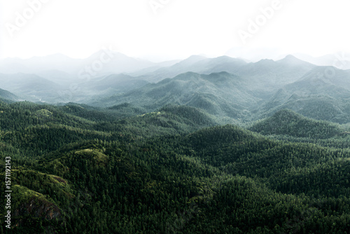 a view of a mountain range with a few trees