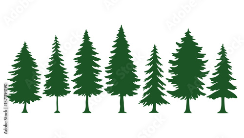 A row of evergreen tree silhouettes in various sizes
