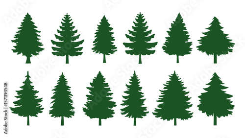 A row of evergreen tree silhouettes in various sizes