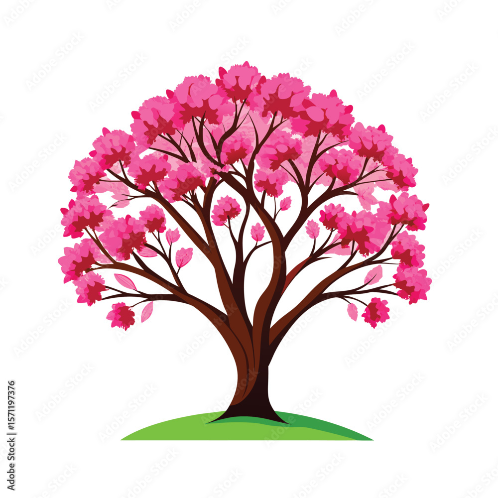 Obraz premium redbud tree vector art