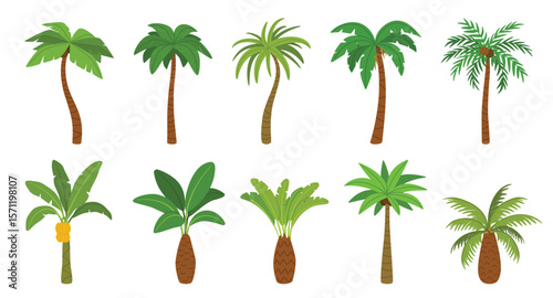 Palm tree. Cartoon tropical coconut palm and banana trees with green leaf and trunks, beach plants. Summer, exotic island, jungle nature vibe for travel, vacation, eco design. Isolated vector set