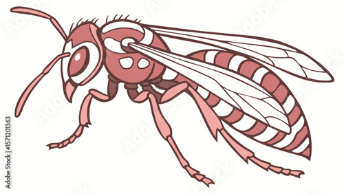Illustration of a pink wasp insect drawing with wings and legs for kids and educational purposes art 100 chars