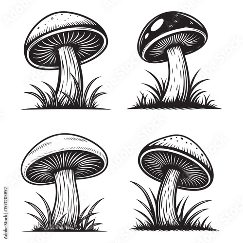 Mushrooms in the Grass Black and White Illustration