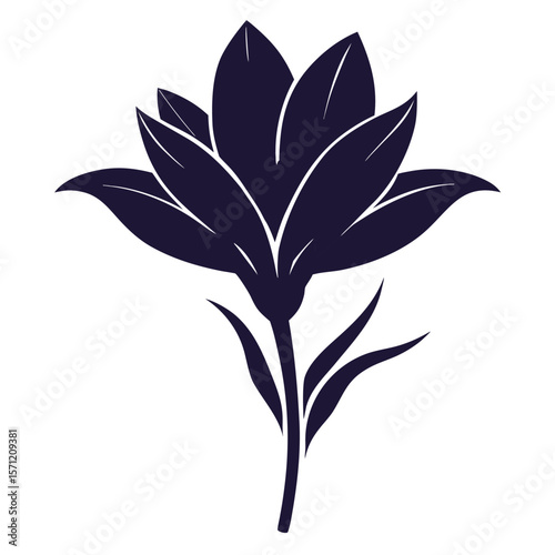 mezereon saffron flower silhouette-on-white