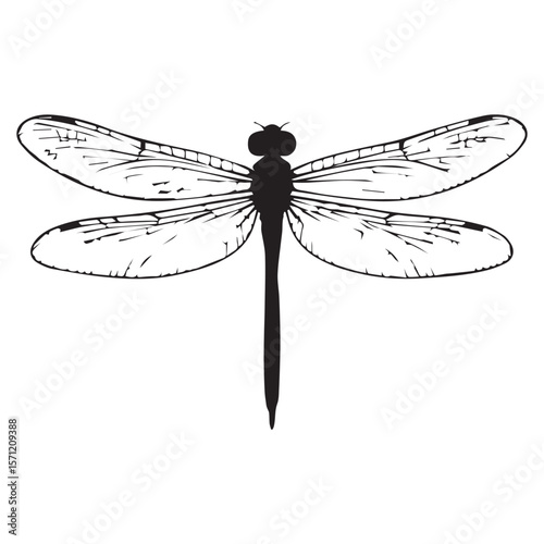 Detailed black silhouette of a dragonfly with intricate wing patterns on a white background