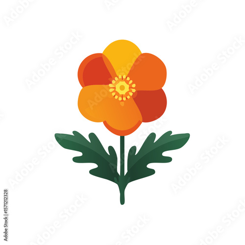 Orange California Poppy Flower Isolated on a Transparent Background 