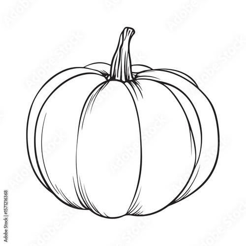 pumpkin icon silhouette vector illustration, Hand-drawn pumpkin line art, Perfect for Halloween designs, packaging, prints, and digital projects