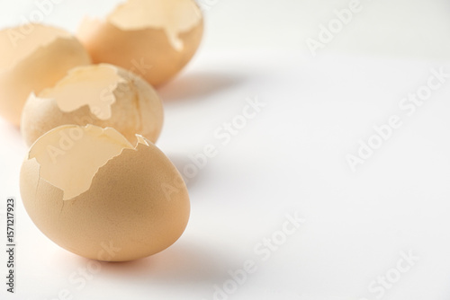 Cracked Raw Eggshell on White Background