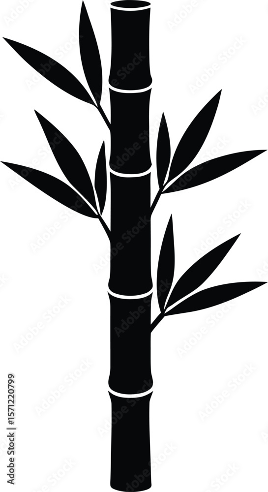 Obraz premium bamboo shoot on white background.eps