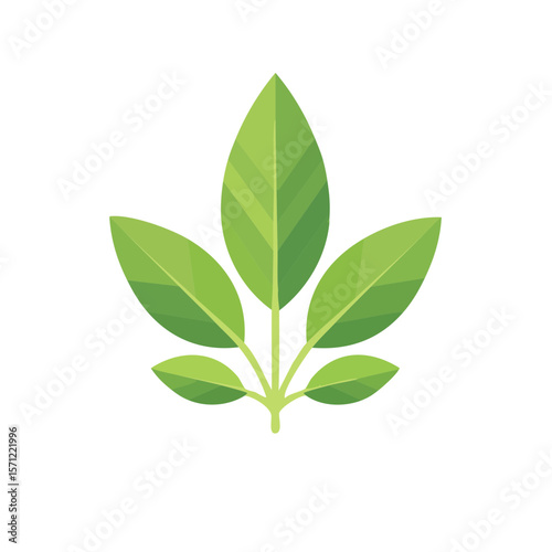 Sage Icon Isolated on a Transparent Background