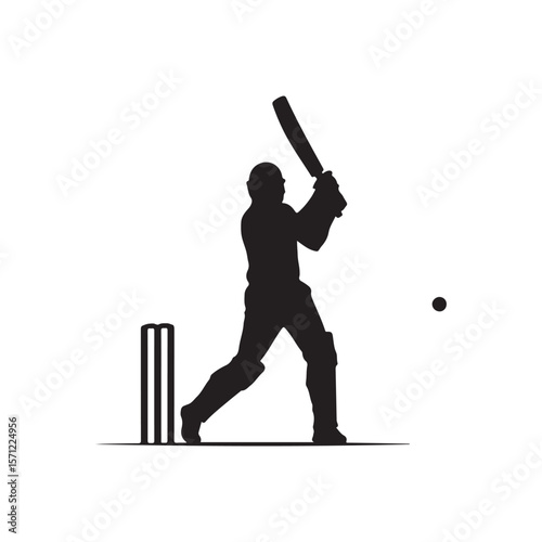 Cricket batsman silhouette vector illustration design on white background