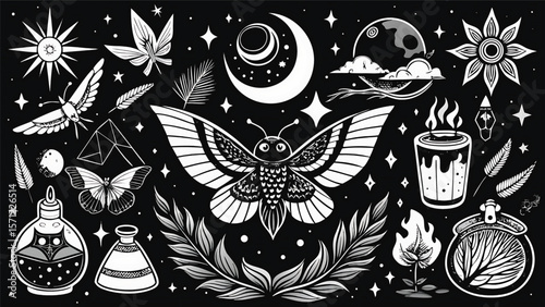Celestial moth moon sun star flower potion fire leaf flask stars