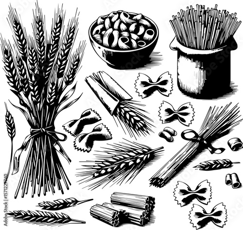 Illustration of various pasta types and grains in black and white  