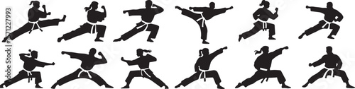 Karate Silhouettes in Martial Arts Action Poses Collection vector