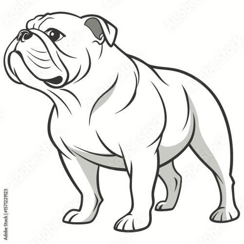 White bulldog vector illustration of a cute, adorable puppy