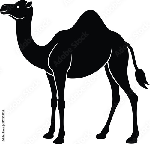 camel hump on white background.eps