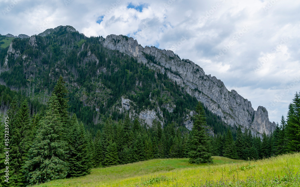 Obraz premium Raptawicki Mur – the southern side of the Raptawicka Ridge above the Koscieliska Valley in the Western Tatras in Poland. View from clearing - Polana Smytnia.