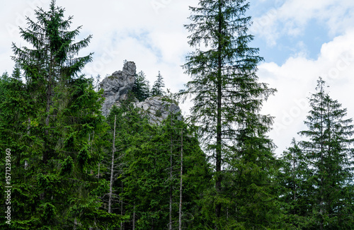 A peak called 'Sowa' in the Koscieliska Valley in the Polish Tatra Mountains.