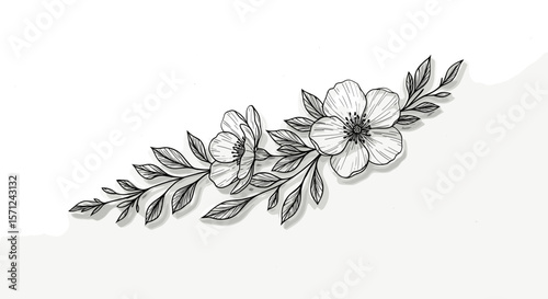 Floral illustration of hand-drawn flowers and leaves on white background  